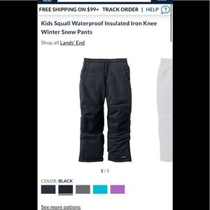 Land’s End Squall Snow Pants, boys 18 or women’s 10?